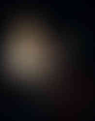 Gregg Allman on stage with Gibson Les Paul Custom gifted by Eric Clapton – Shrine Auditorium LA 1974 concert print