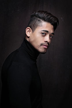 Fox Visual Art 7085 s