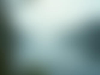 Healing Trauma: Empowering Those Affected by PTSD