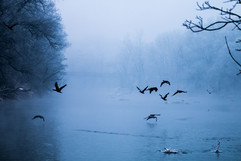 © Kristof Reuther