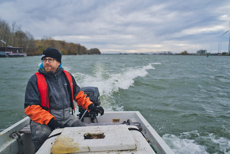 Sterlet Donau LIFE Kristof Reuther 1.jpeg