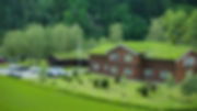 DJI_0012.jpeg