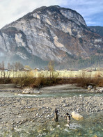 IMG_6376.jpeg