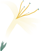 flower-W-1_edited