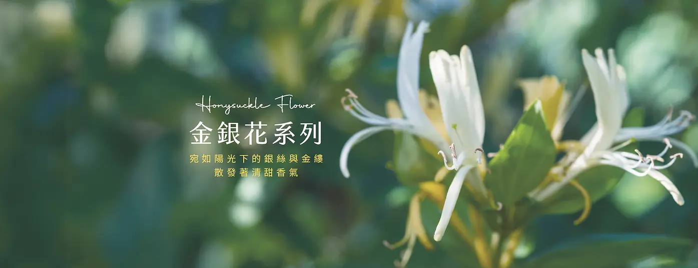 03 金銀花系列-BANNER_01.webp
