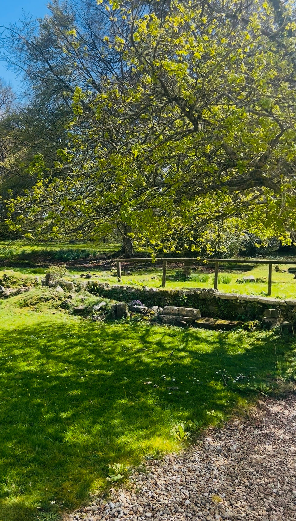 Ruins at Bindon Abbey