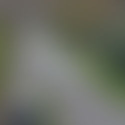 TELETHON - 4 Décembre 2022