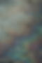 pexels-alexquezada-18160477.jpg