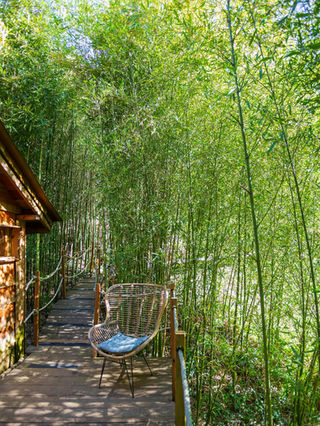 WURZEL KONTROLLE | Bidim Outdoor