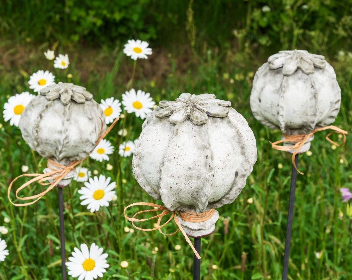 Poppy Seed Head - Large (Bug Hotel)