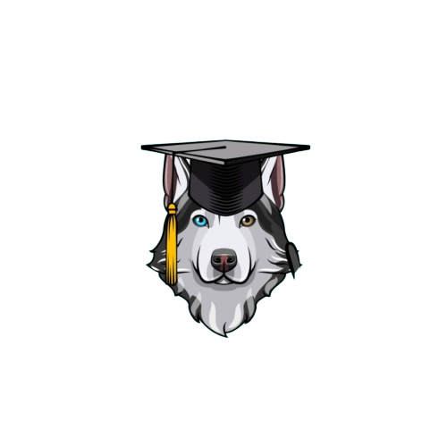 Aide pour l'adoption d'un chien