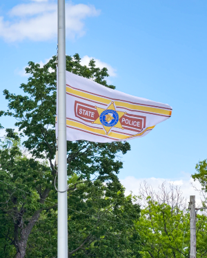 Flag flying at ISPHF first annual Memorial Park Ceremony 
