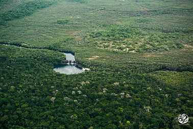 Migrantes climáticos el Bosque, campaña "Es un cambio radical" Amnistía Internacional