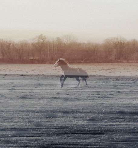 Formas variadas de la fuga