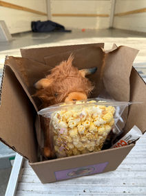 Thank you package from Prime Moovers in Springfield, IL containing stuffed cow, popcorn, and thank you letter.