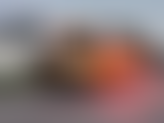 BusGates stop arm extension making Ball-Chatham schools safer.