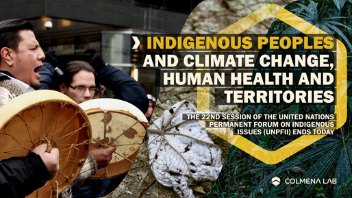 Indigenous Peoples and climate change: human health and territories