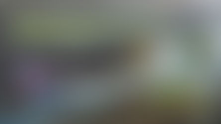 Día Mundial de los Humedales 2025: Humedales en Peligro, el Desastre Ambiental Silencioso