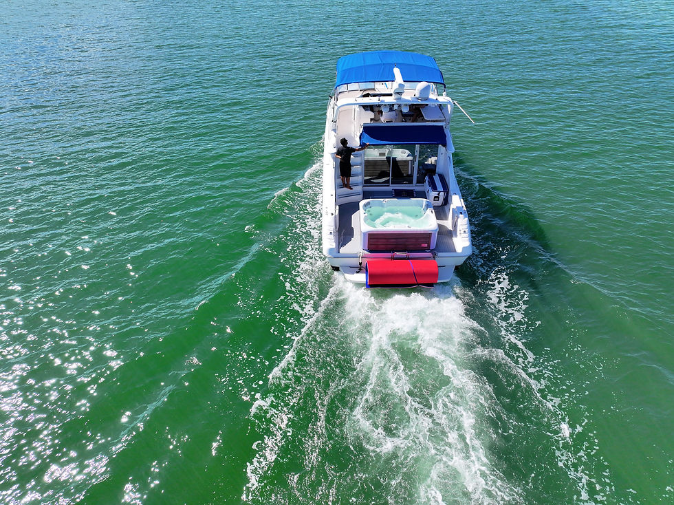 48 with Jacuzzi Back View.JPG