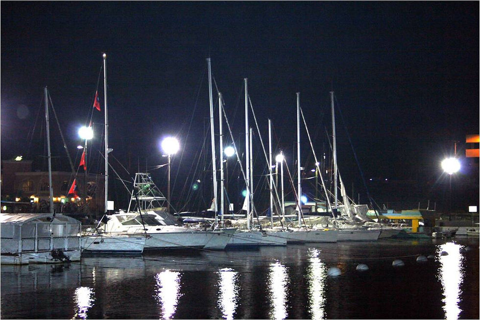 Marina Bartolome Colon