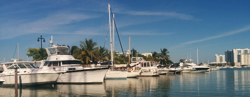 pelican harbor