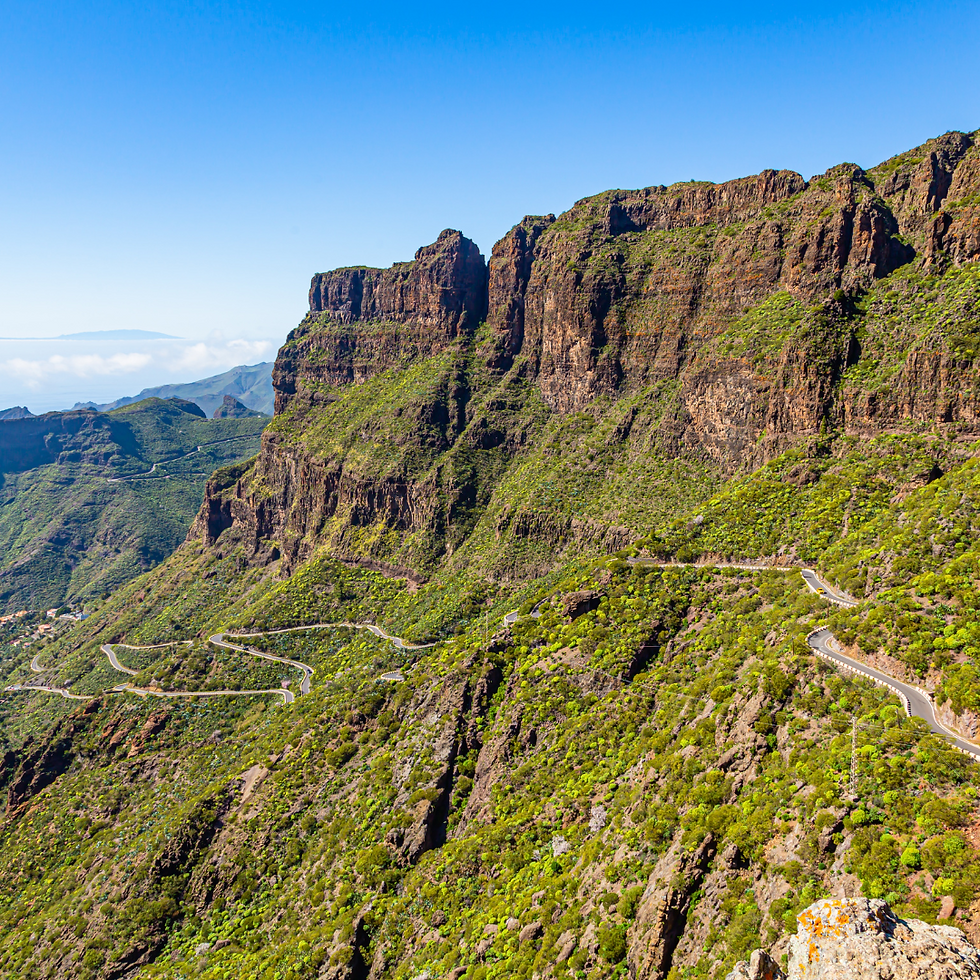 Diseño sin título (8).png