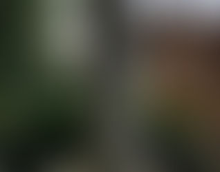 The Stones of Wolverhampton