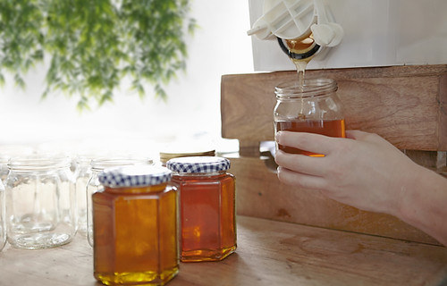 Honey Jars