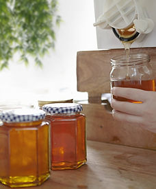 Honey Jars