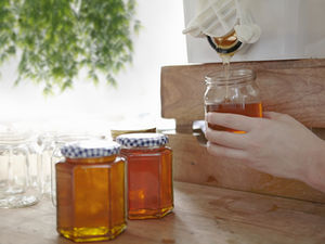 Honey Filtration