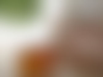 An insight to Beekeeping in the South-East 2020