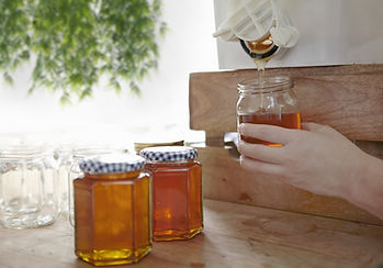 Honey Jars