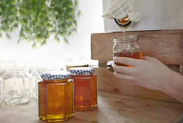 Honey Jars