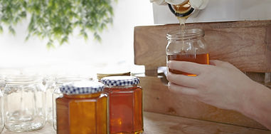 Honey Jars