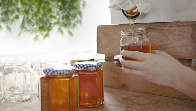 Sustainability Champion