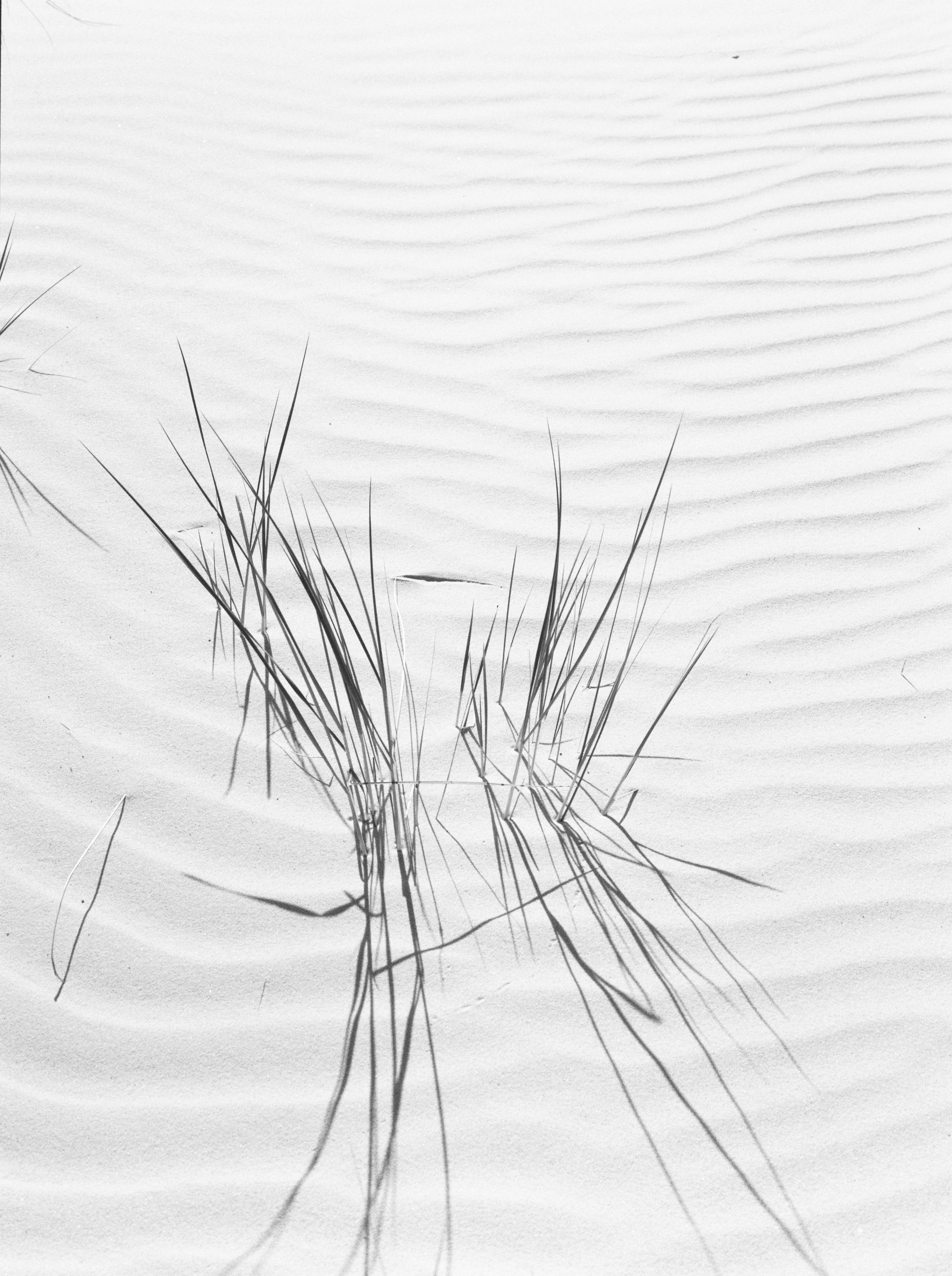 Słowiński Park Narodowy 02