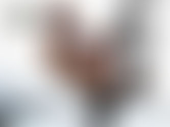 Chronique de Janvier : la Paloma annelée