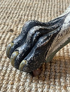 Circus Tilt Top 5.jpeg