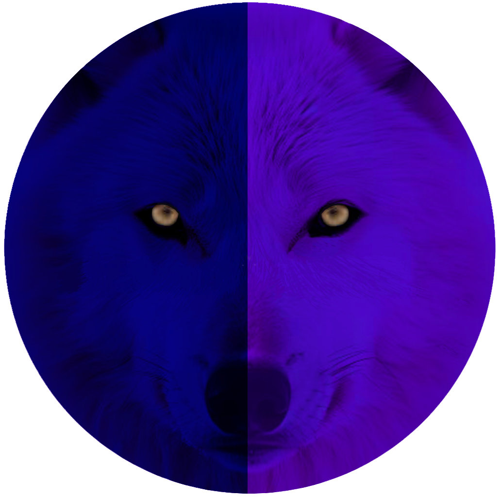 Writer: Gabriela Ilijeska