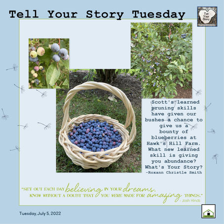 Tell Your Story Tuesday-July 5, 2022