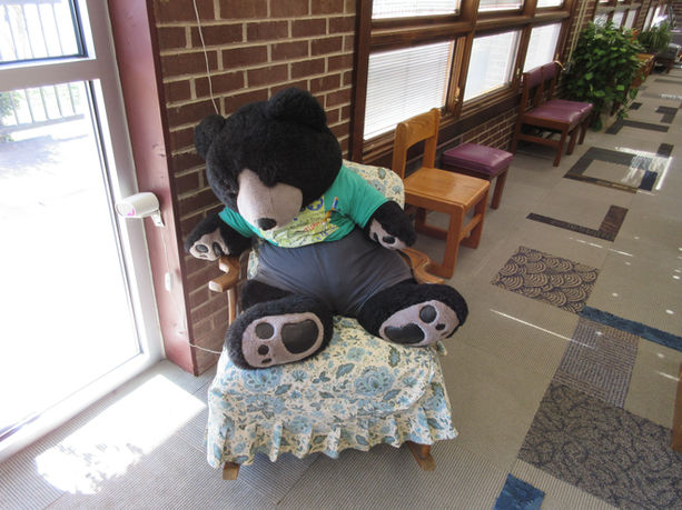 plush bear at entrance of library
