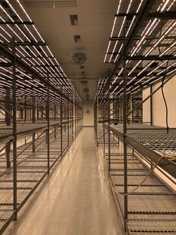Cultivation Facility