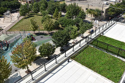 Roof Decks and Mary Bartleme Park