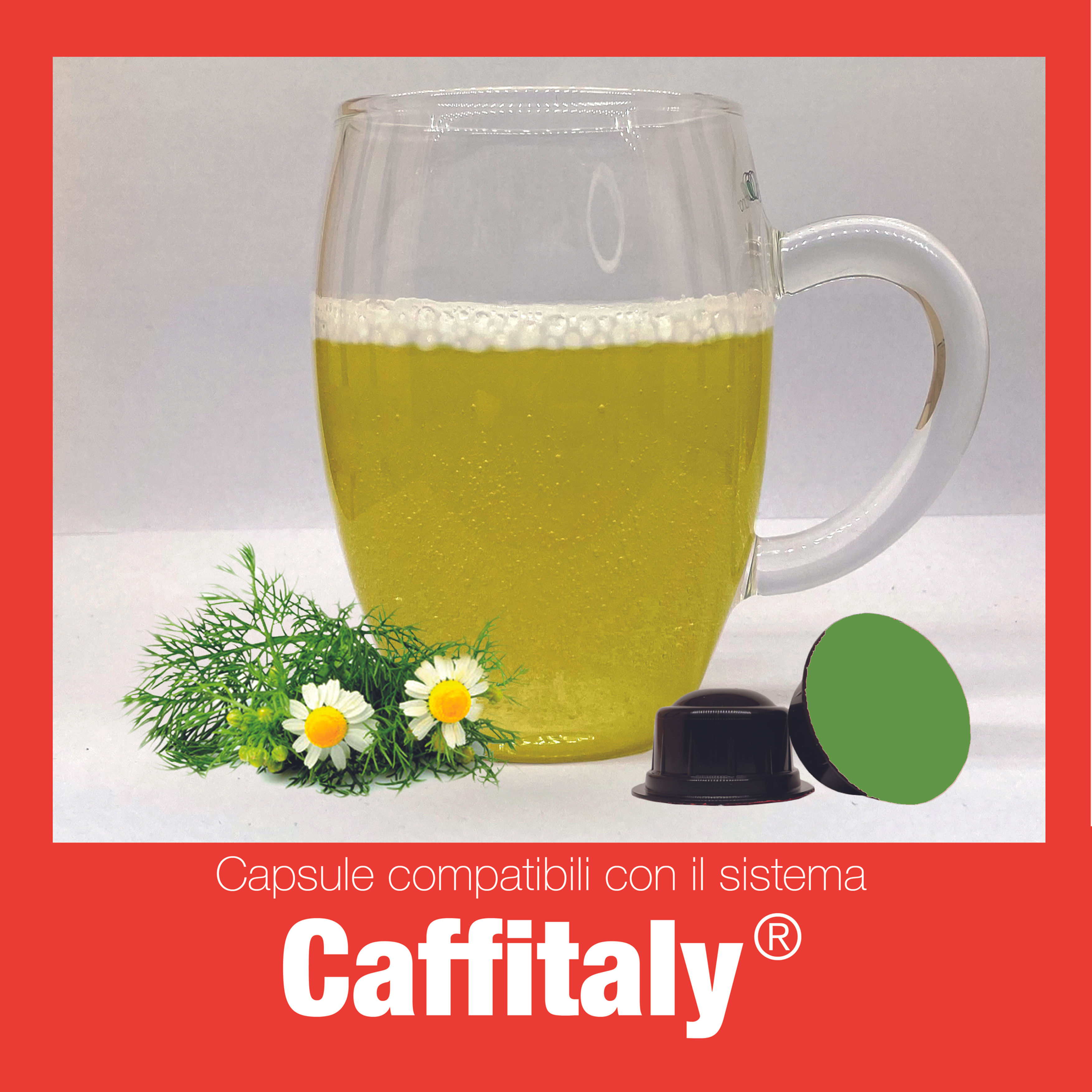 Capsule Caffitaly con caffè torrefatto artigianalmente in Italia o Bevande in Capsula da fare calde. Vendita esclusiva della casa del caffè di Buguggiate
