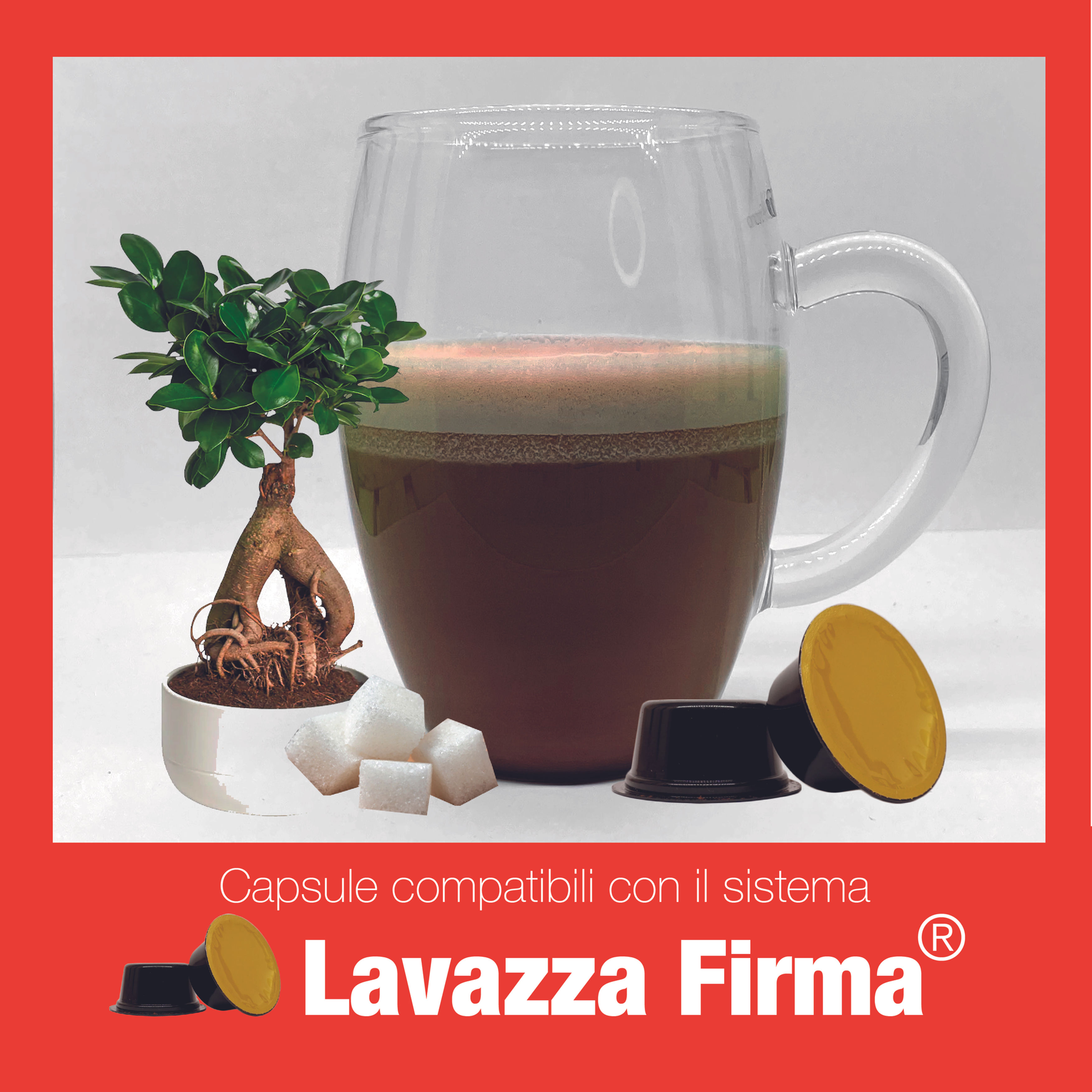 Capsule Firma con caffè torrefatto artigianalmente in Italia o Bevande in capsula da fare calde o fredde. Vendita esclusiva della casa del caffè di Buguggiate