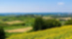 06_Panorama_Monferrato_Can't Forget Italy_Archivio Ente Turismo LMR_redux-1.3a899cfb.jpg