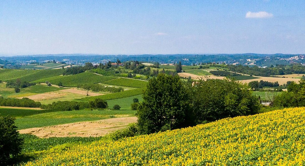 06_Panorama_Monferrato_Can't Forget Italy_Archivio Ente Turismo LMR_redux-1.3a899cfb.jpg