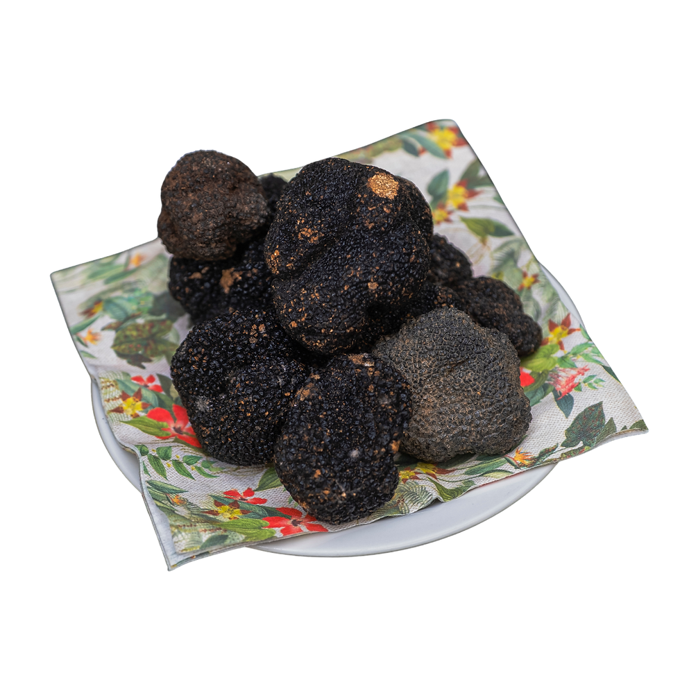 Progetto senza titolo (11).png