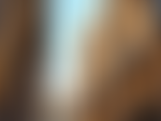 Guía Completa de Servicios Legales en Granada