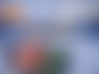 cambios tras nuevo reglamento de extranjería